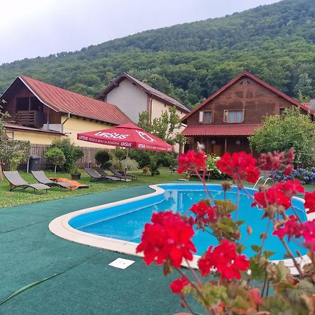 Casa De Vacanta Caciulata Εξωτερικό φωτογραφία