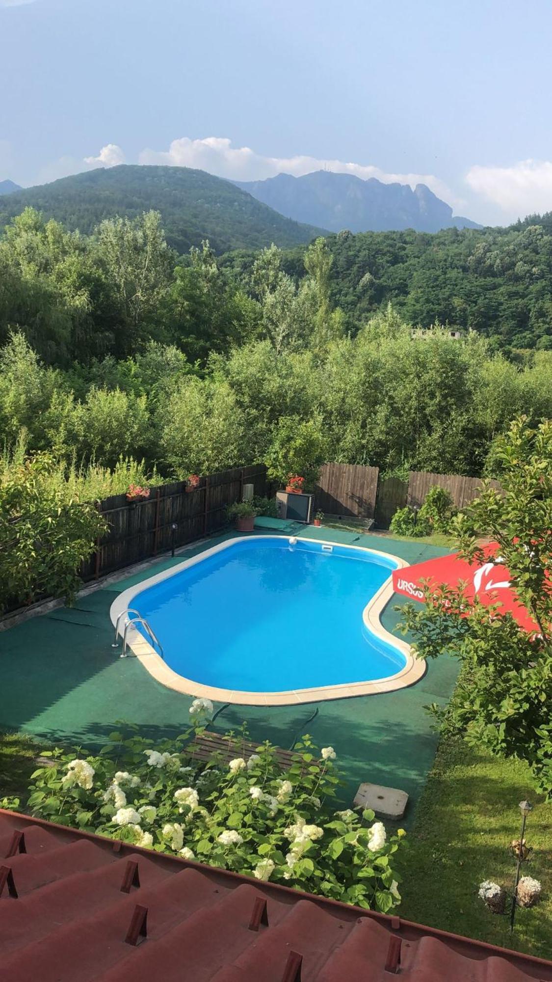 Casa De Vacanta Caciulata Εξωτερικό φωτογραφία